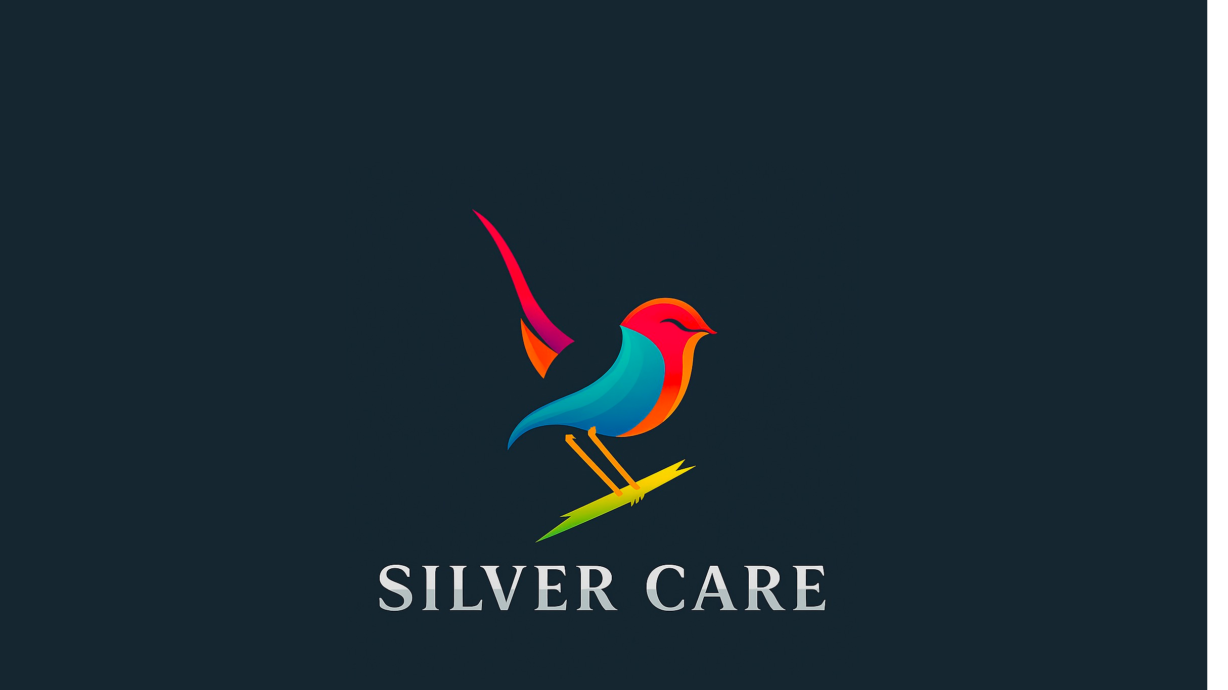 Silver Care