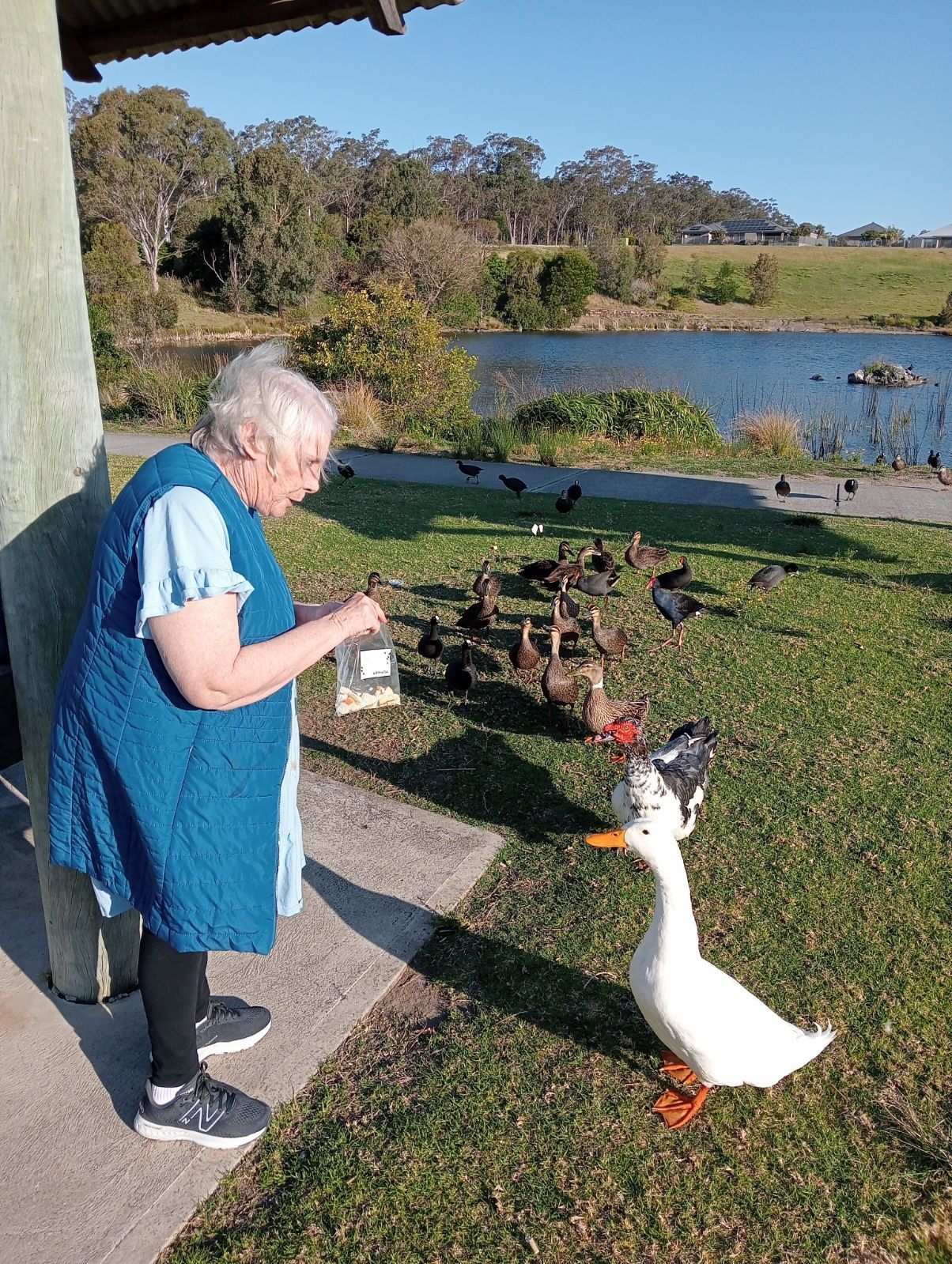 Ave Maria Disability and Mental Health Services — photo 10