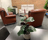 Combined Therapy Services — photo 8