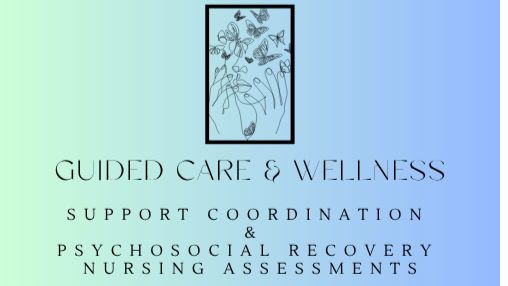 Guided Care and Wellness Supports