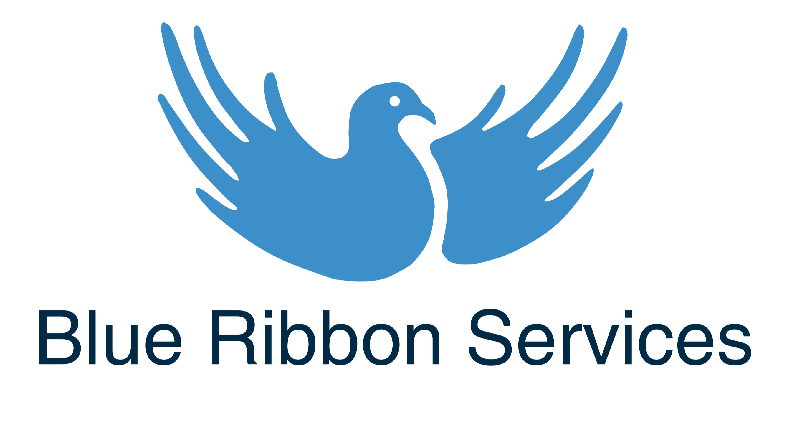 Blue Ribbon Services pty Ltd logo