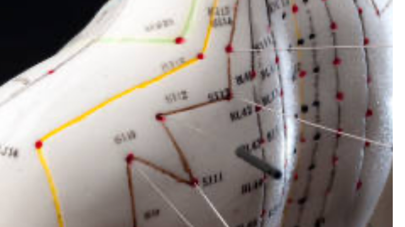 One Needle Acupuncture