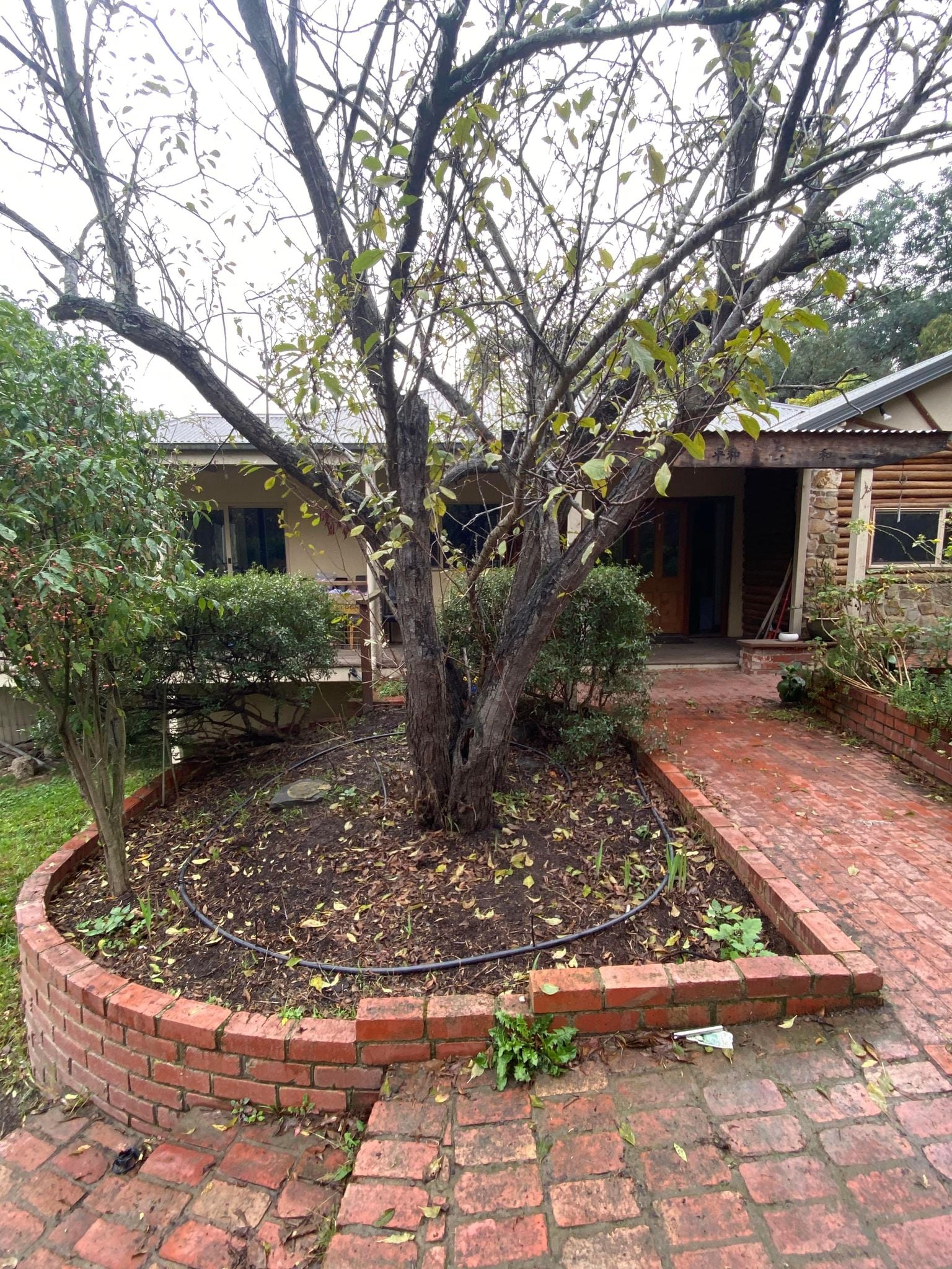 Wild Leaf Gardening — photo 4