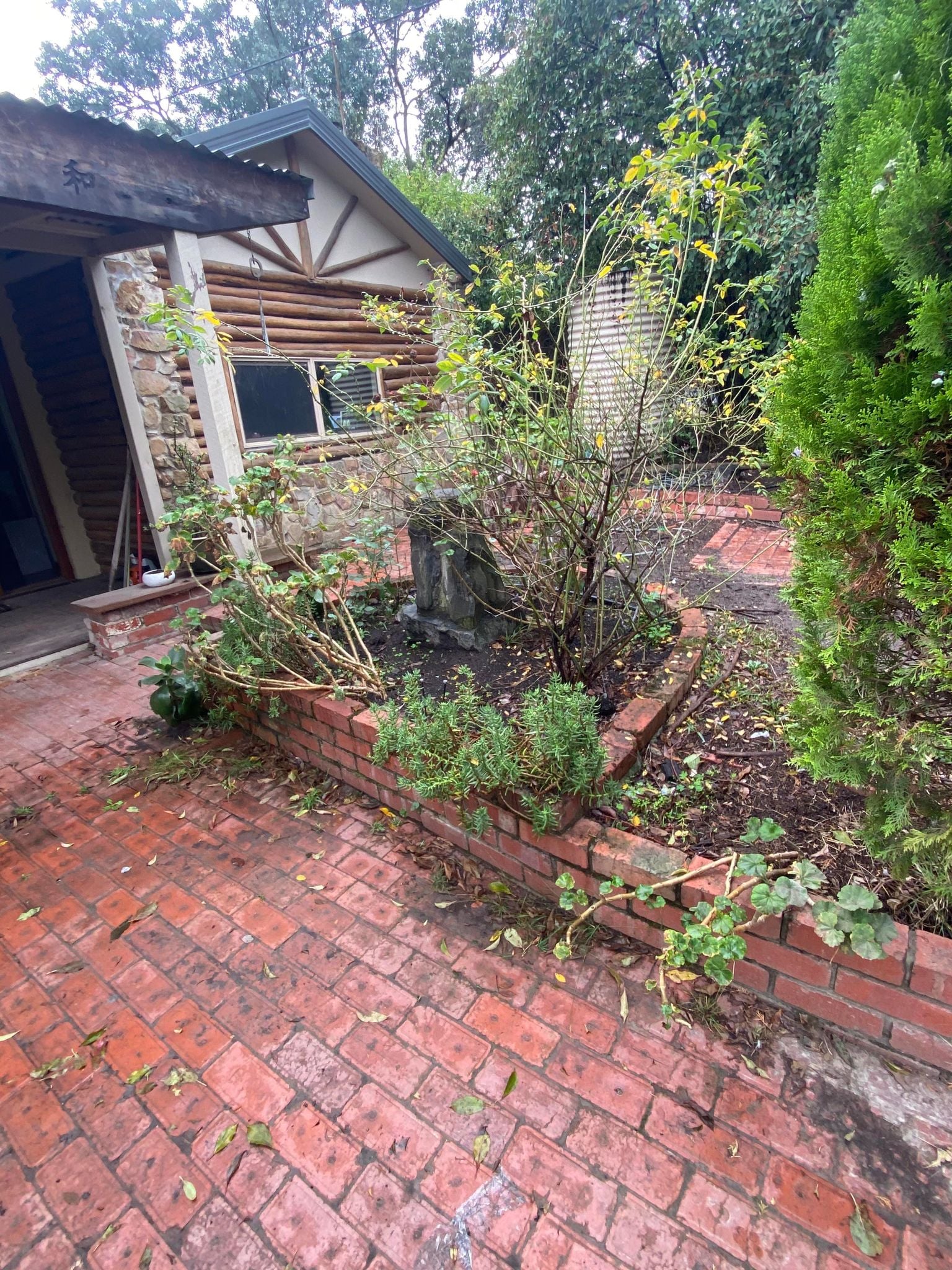 Wild Leaf Gardening — photo 5