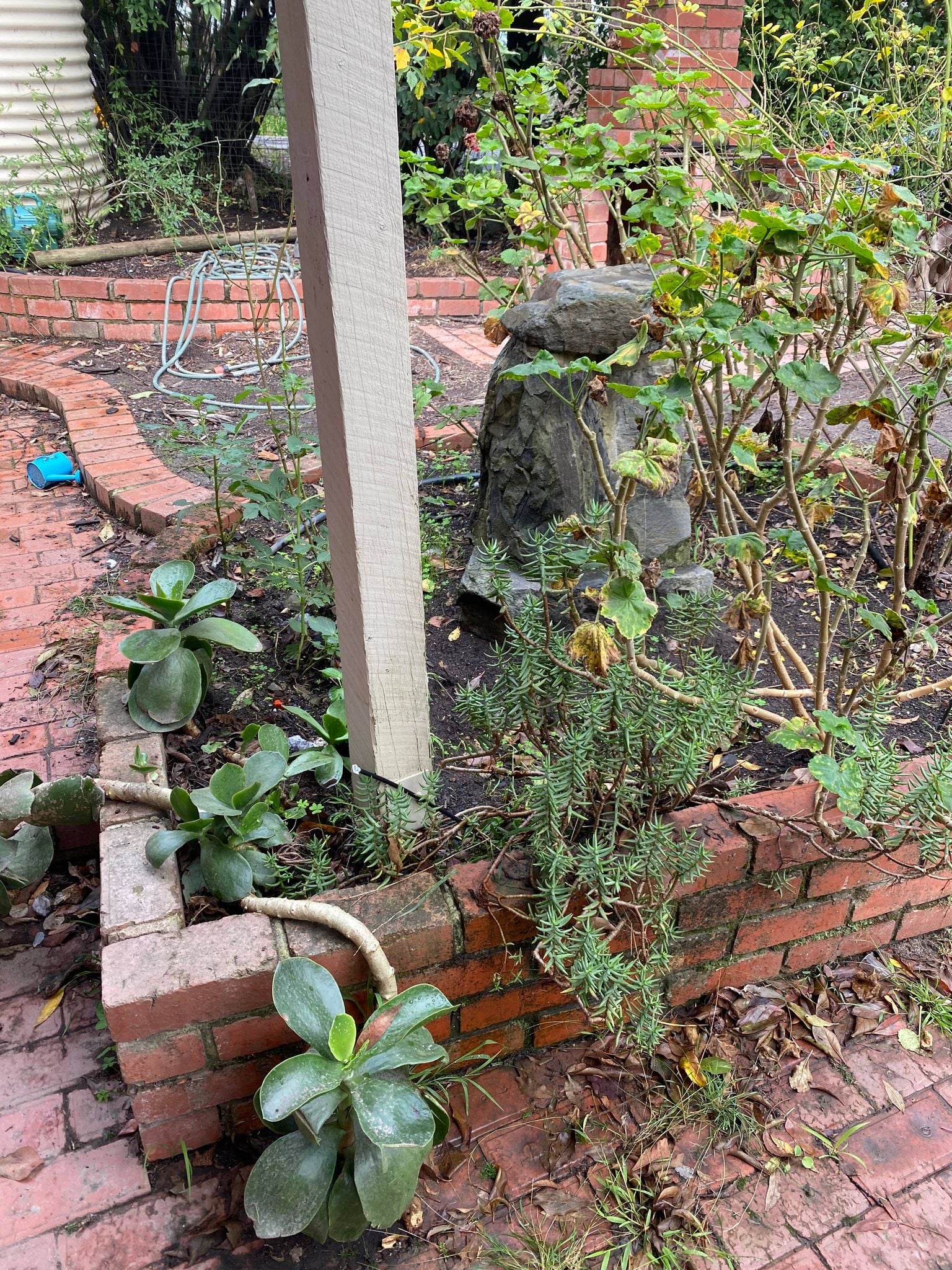 Wild Leaf Gardening — photo 2