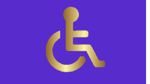 High Disability Services logo
