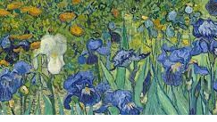 Irises Support Services