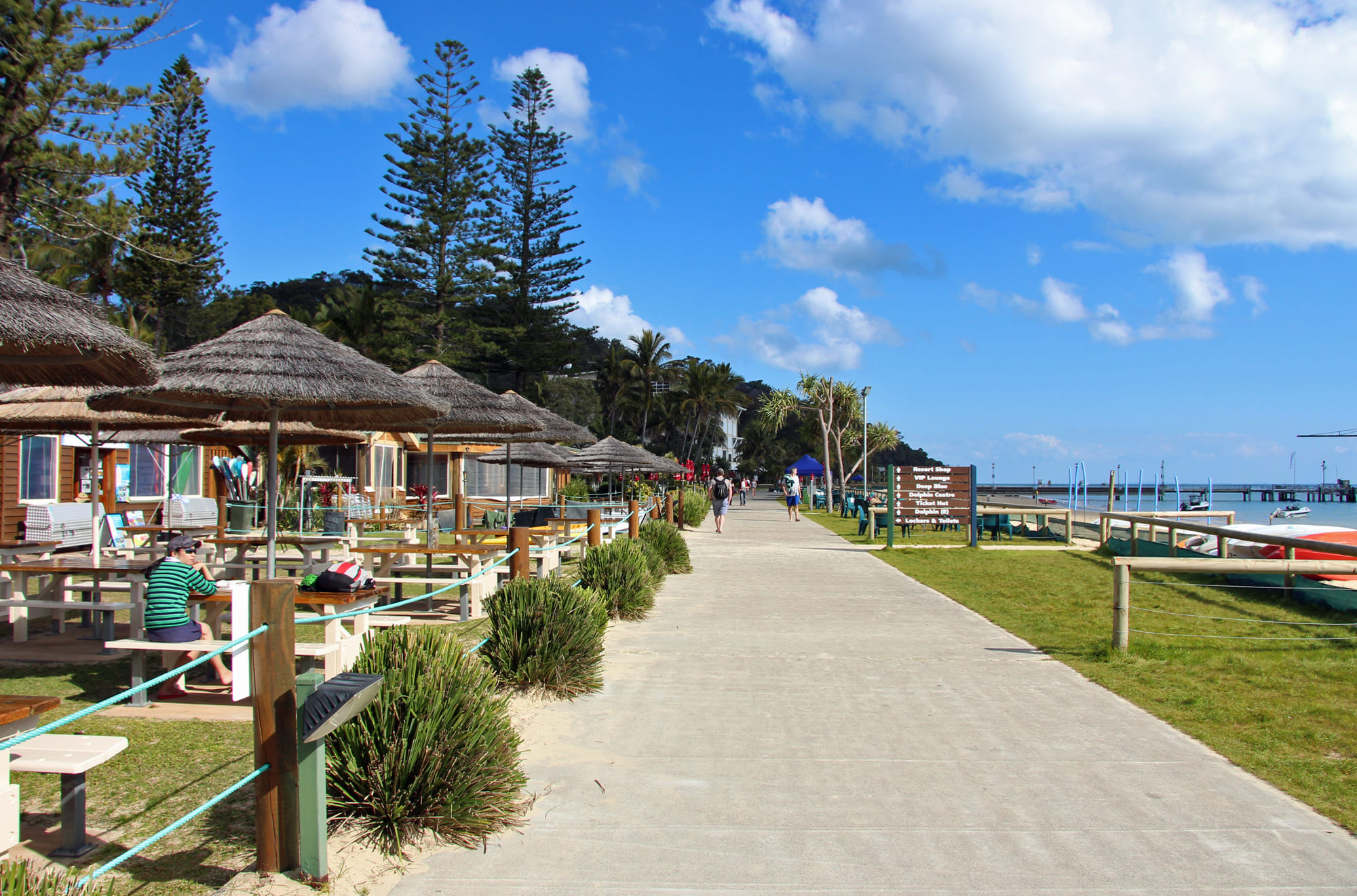 Careco Disability Support — photo 12