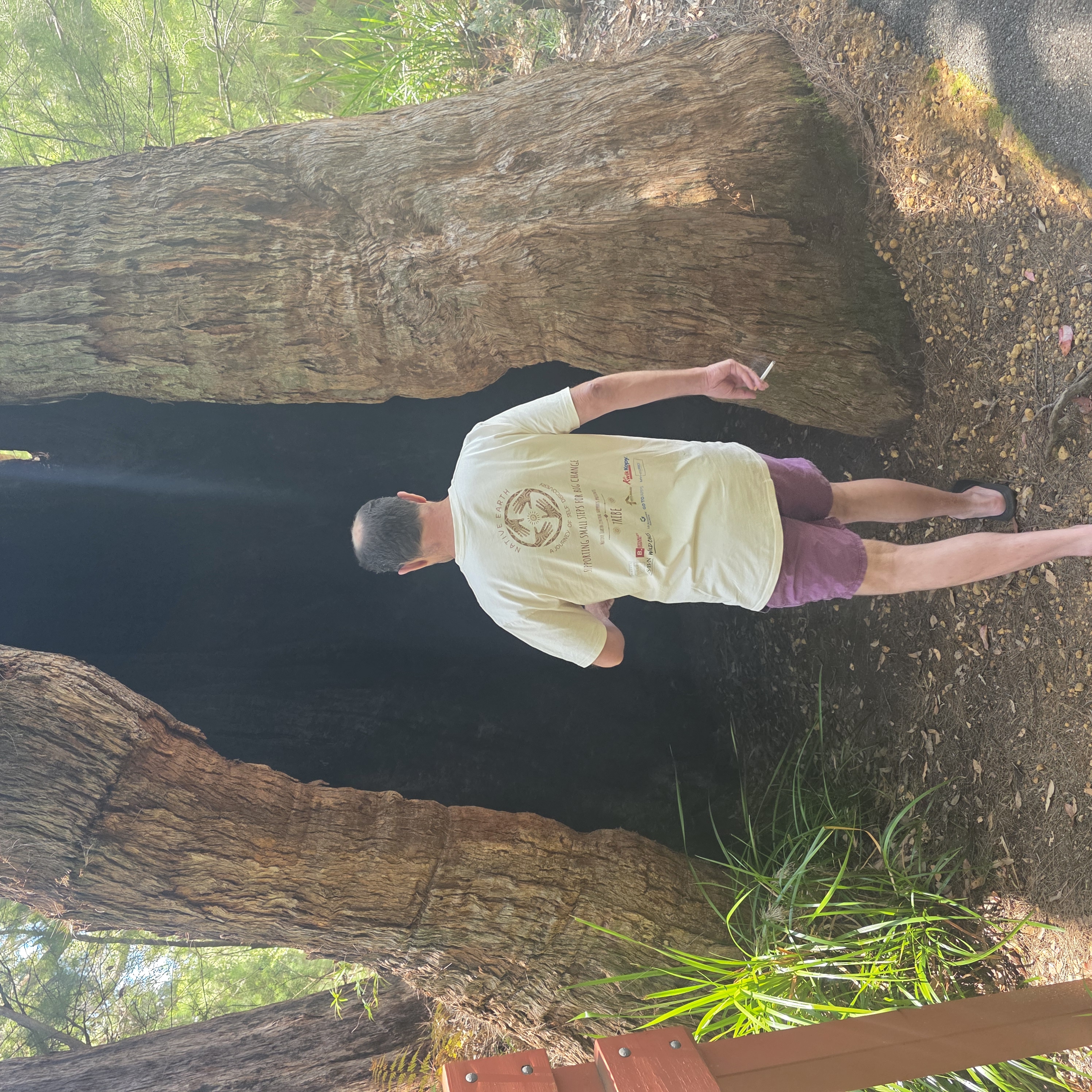 Native Earth — photo 22