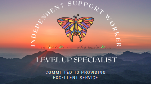 Level Up Specialists Gold Coast logo