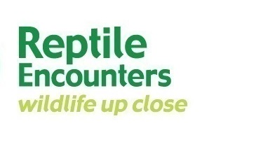 Reptile Encounters