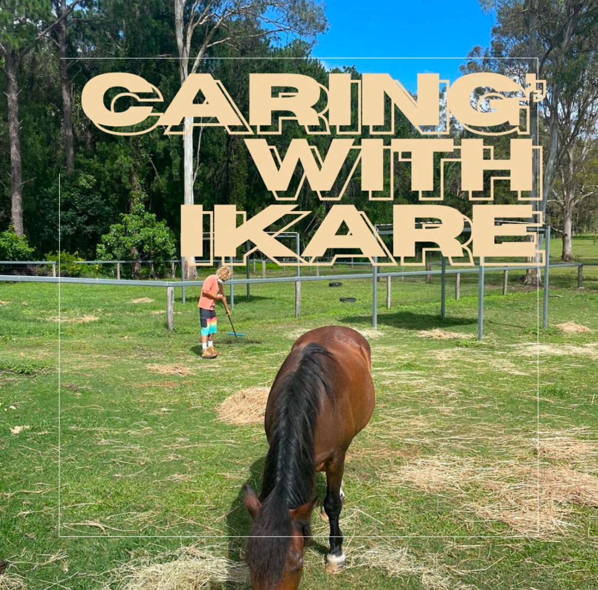 iKare Support Services — photo 19