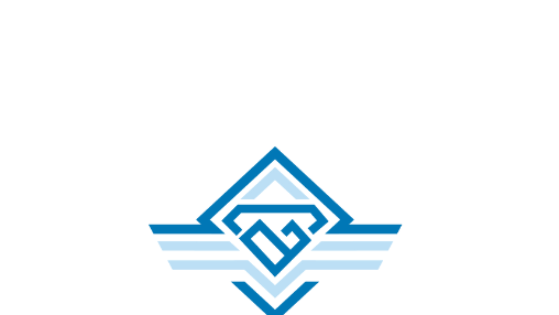 Sapphire Transport and Caring Service