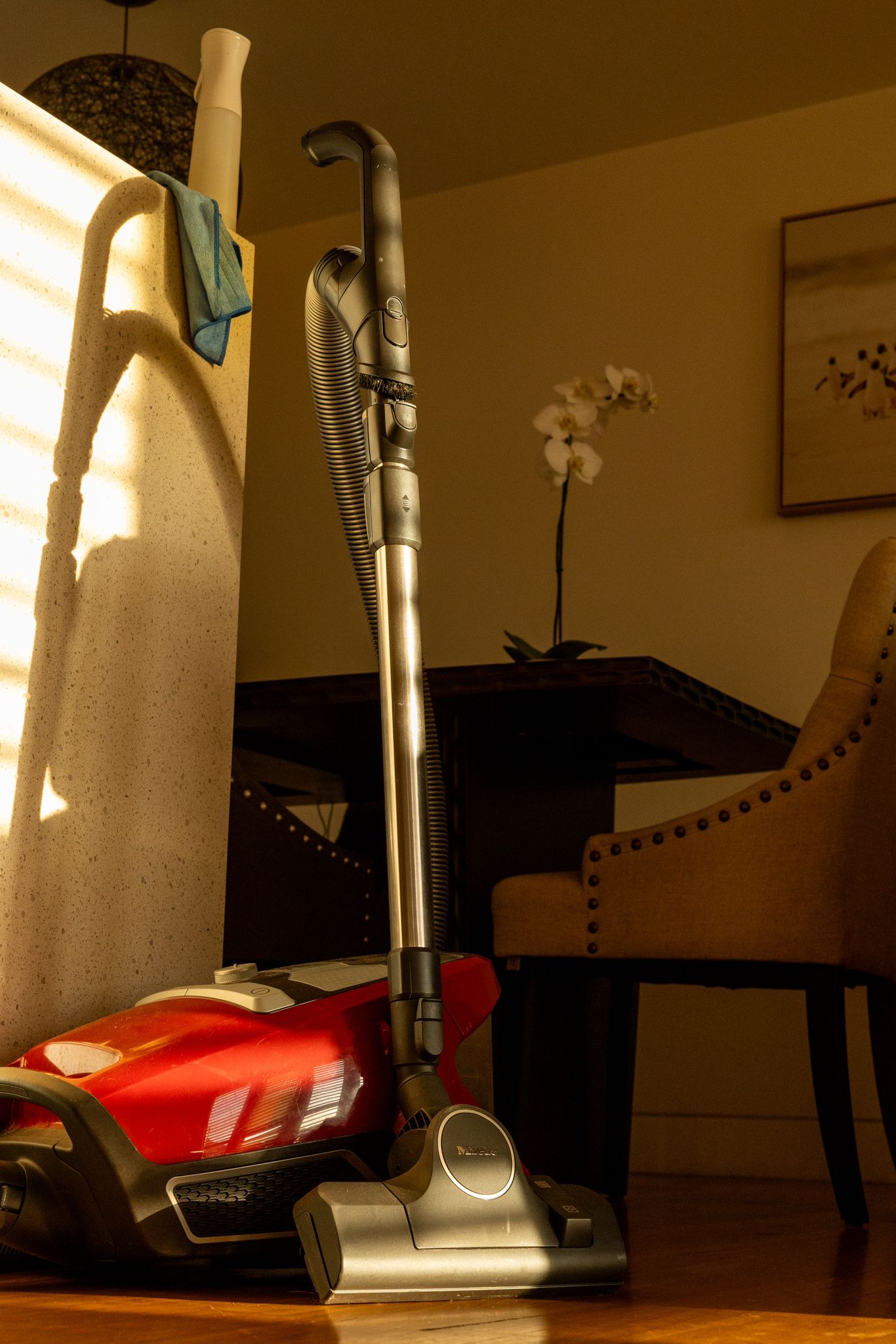 Benity Care — photo 5