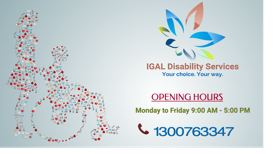 IGAL Disability Services