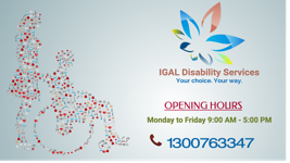 IGAL Disability Services — photo 1