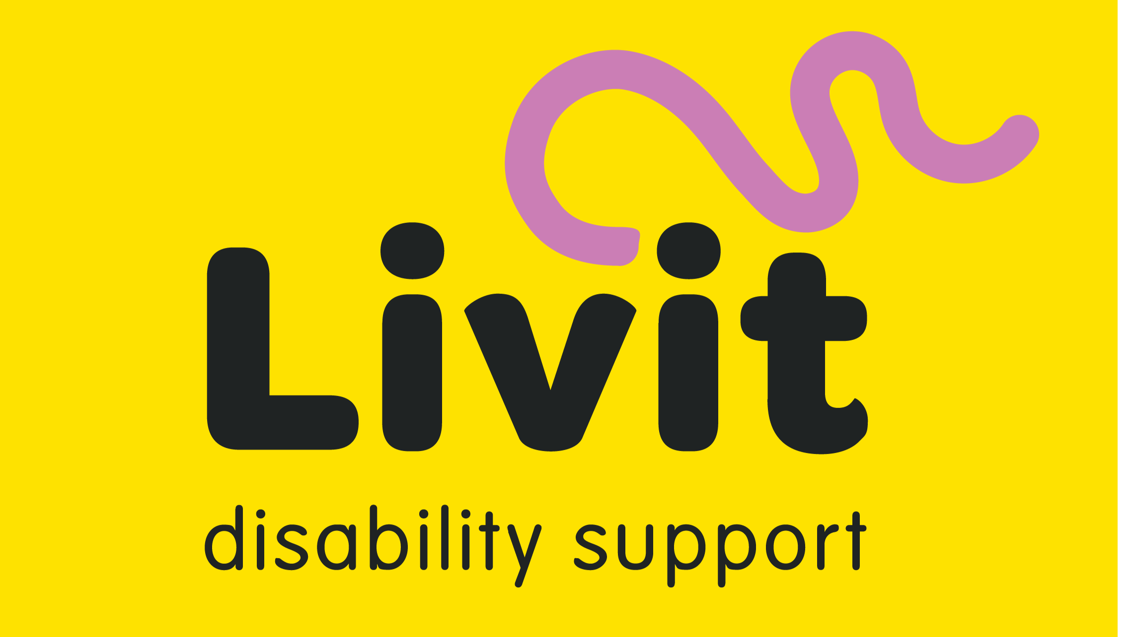Livit Disability Support