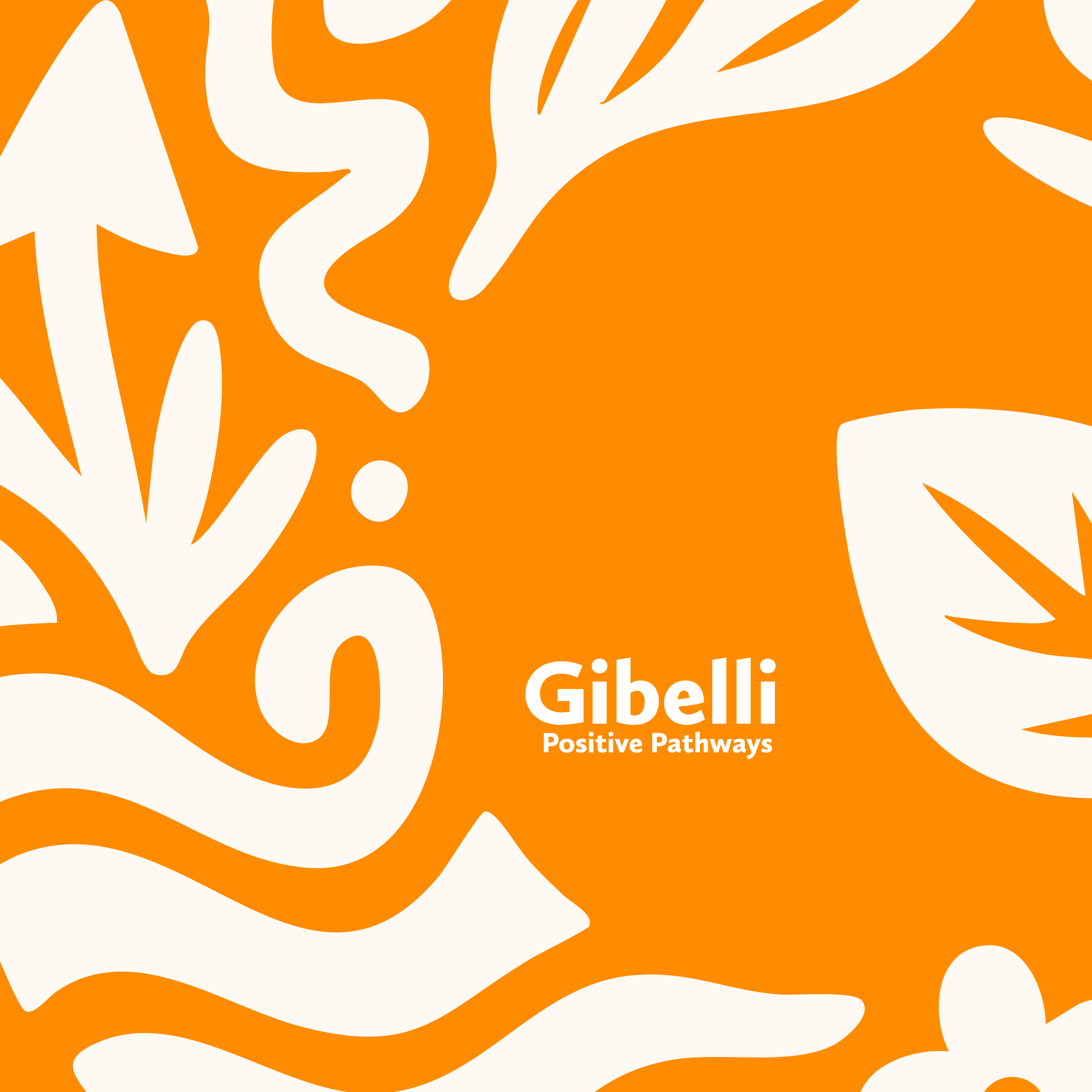Gibelli Positive Pathways — photo 3