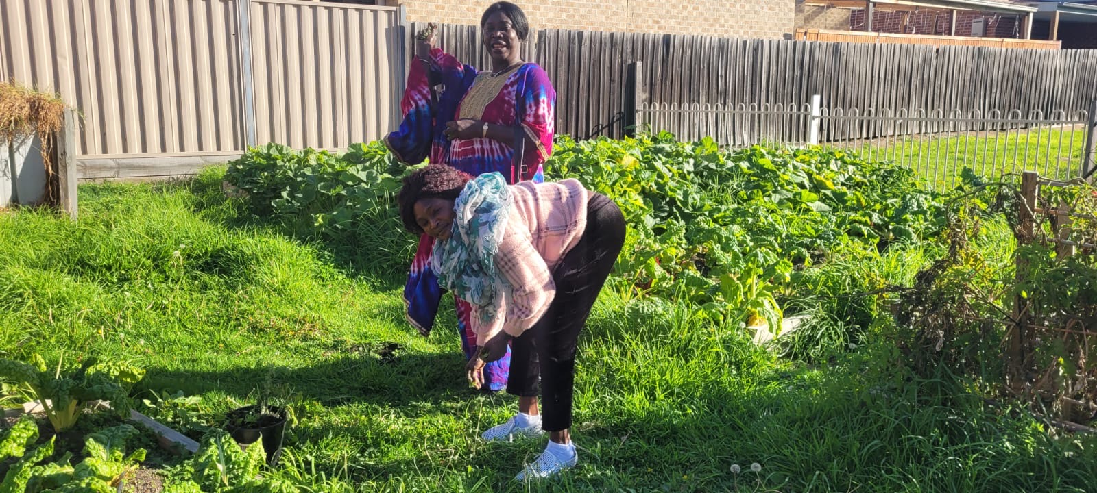 Afri-Aus Care Inc — photo 6