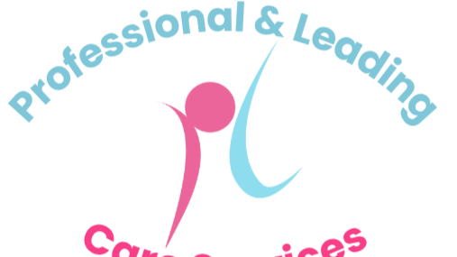 The Professional & Leading Care Service