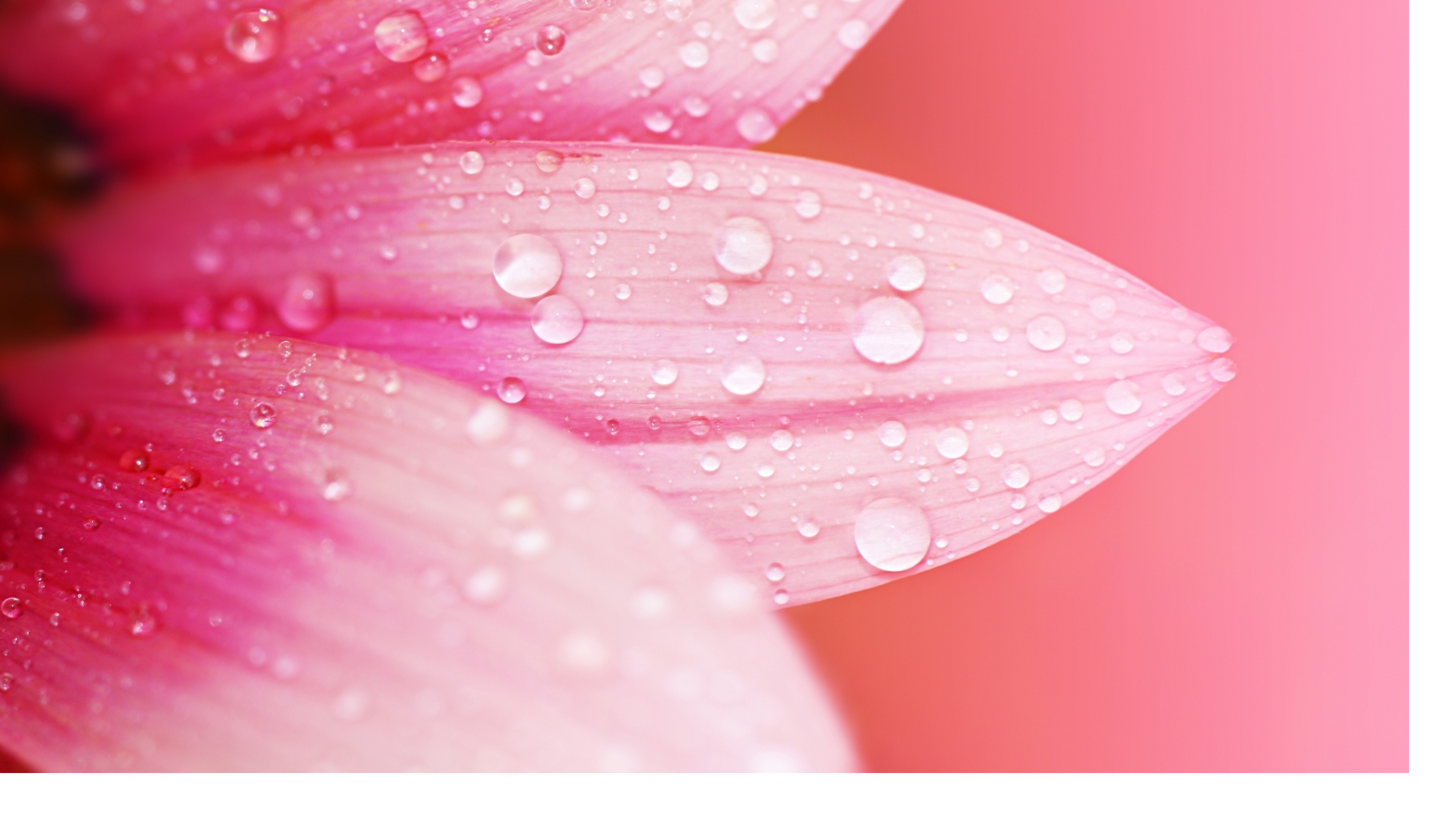 Shoalhaven area cleaning services