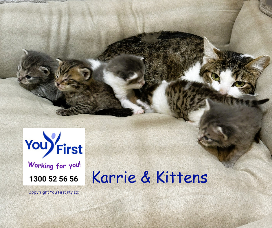 You First — photo 21