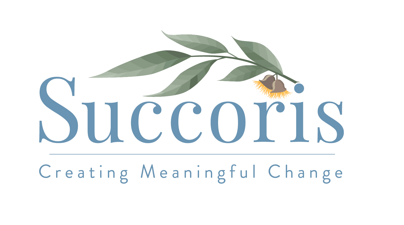Succoris Psychology — photo 1