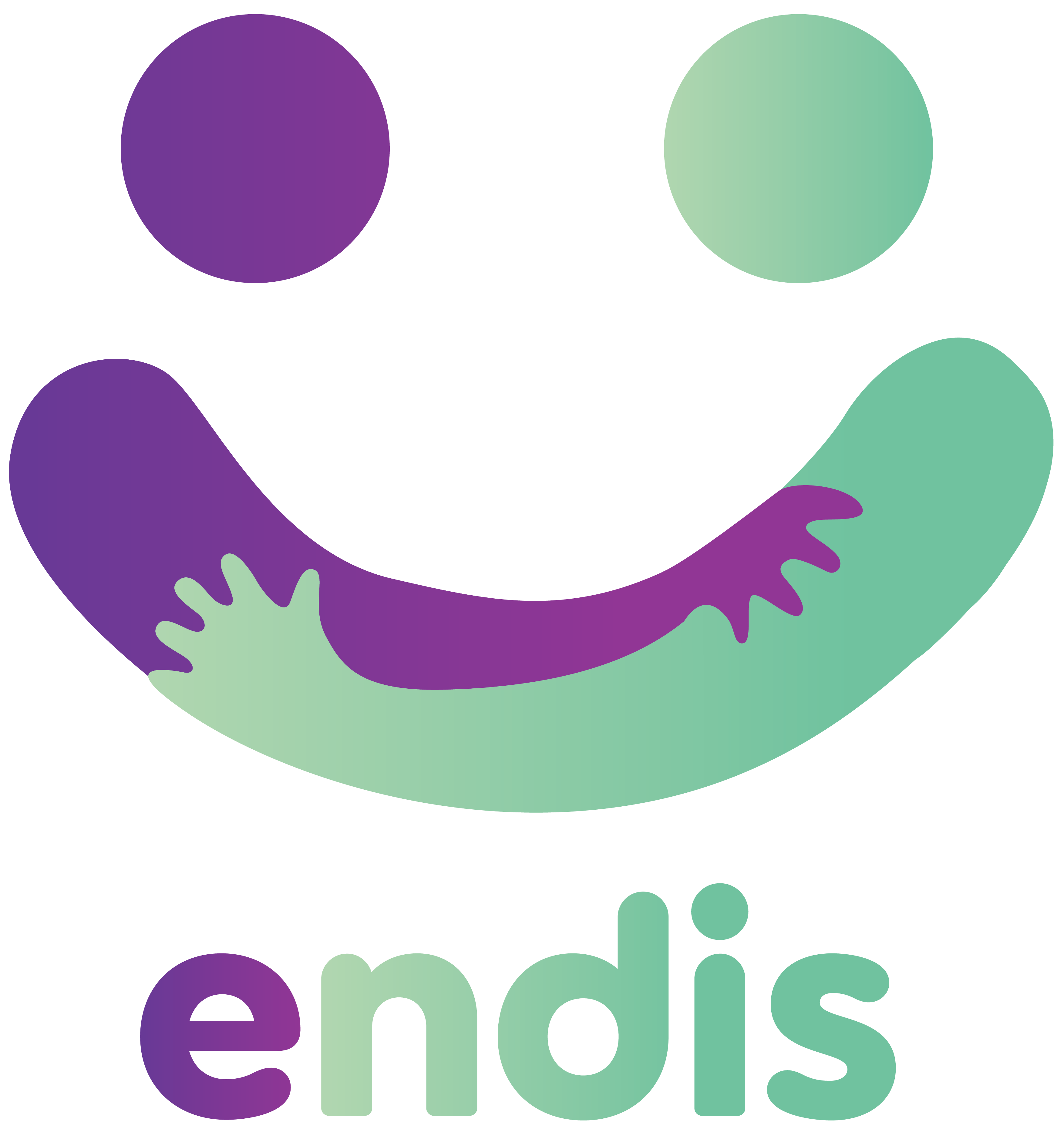 Endis Pty Ltd — photo 1