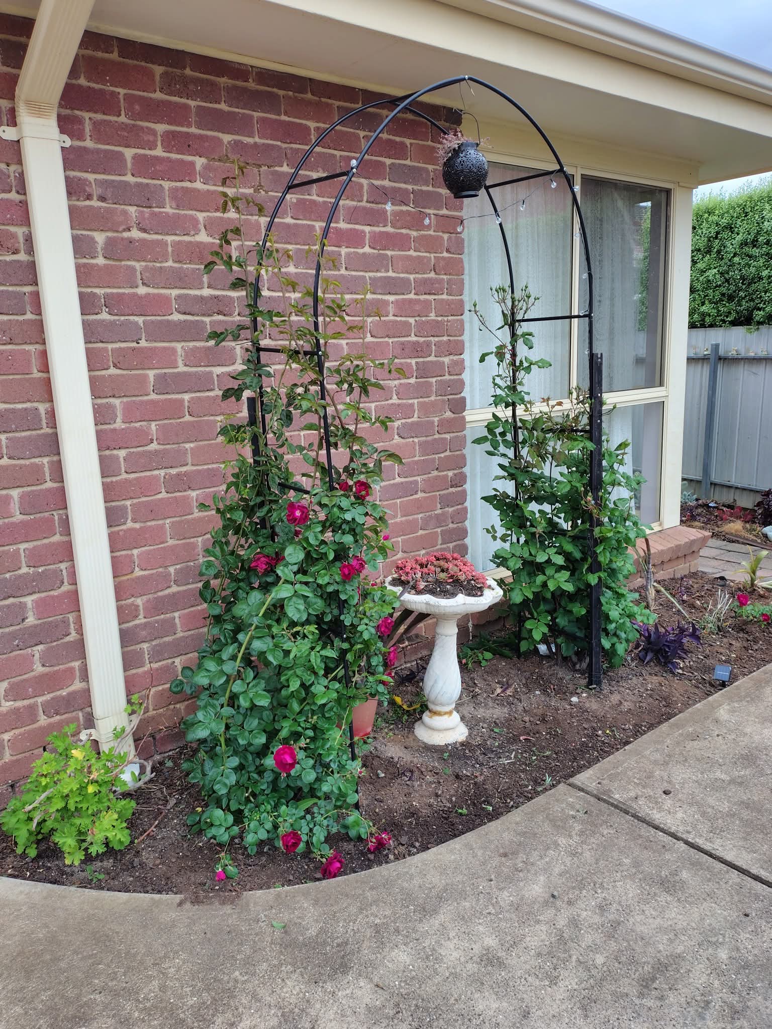 AGE Mowing and Gardening Services — photo 6