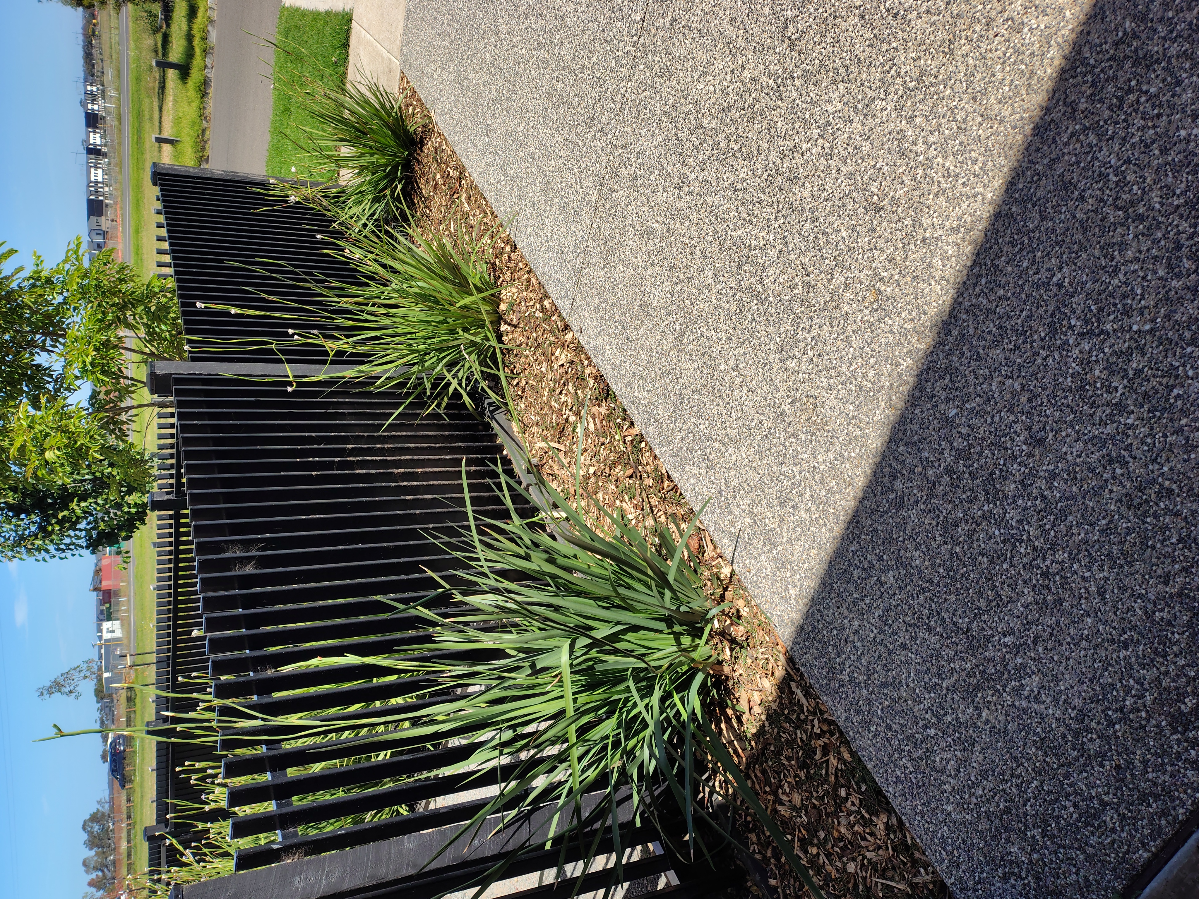 AGE Mowing and Gardening Services — photo 5