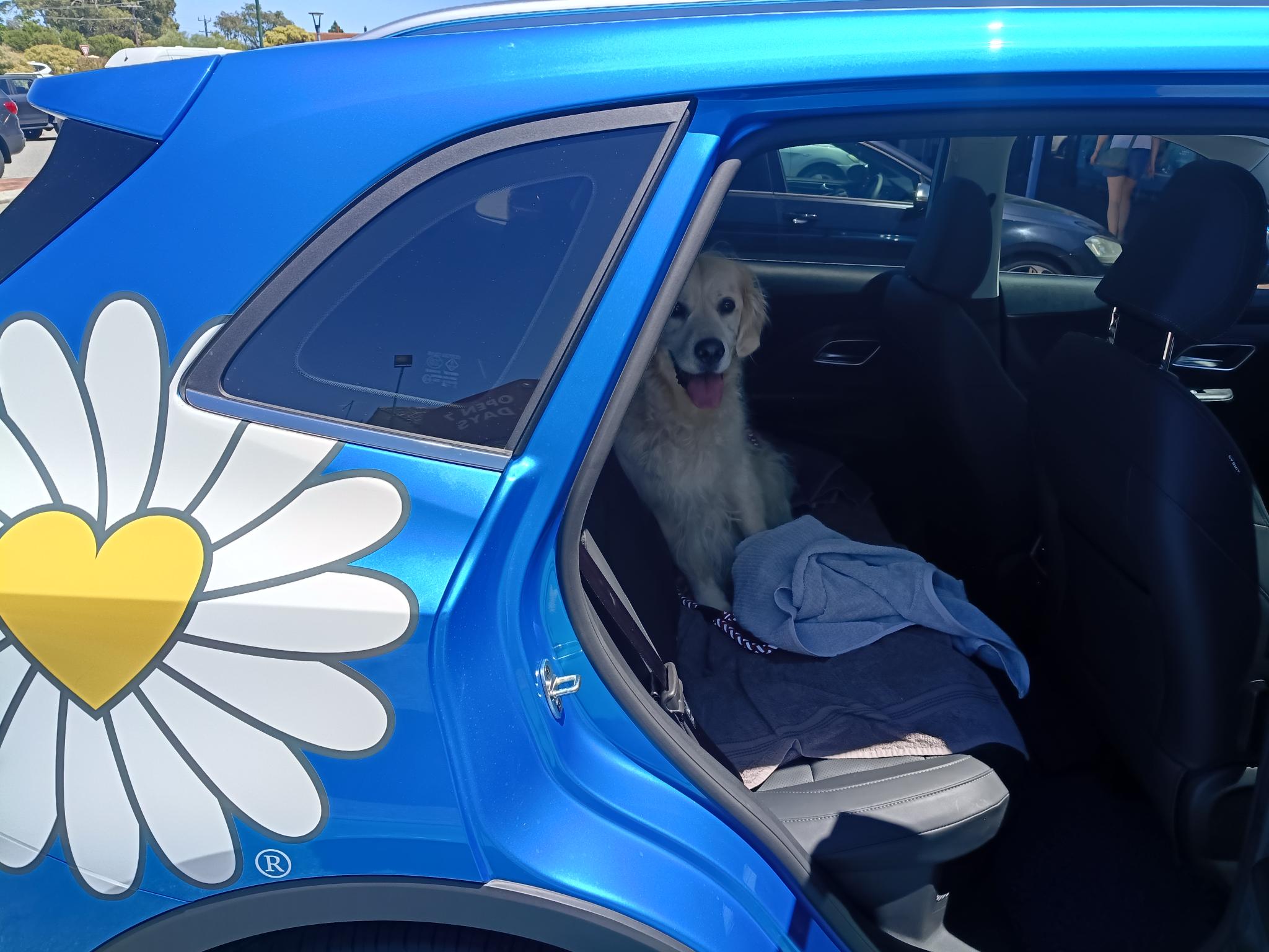 Driving Miss Daisy Craigie — photo 5