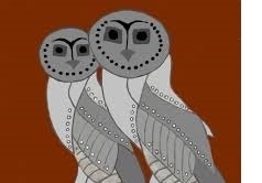 Wulli Wulli Indigenous Disabilty Services