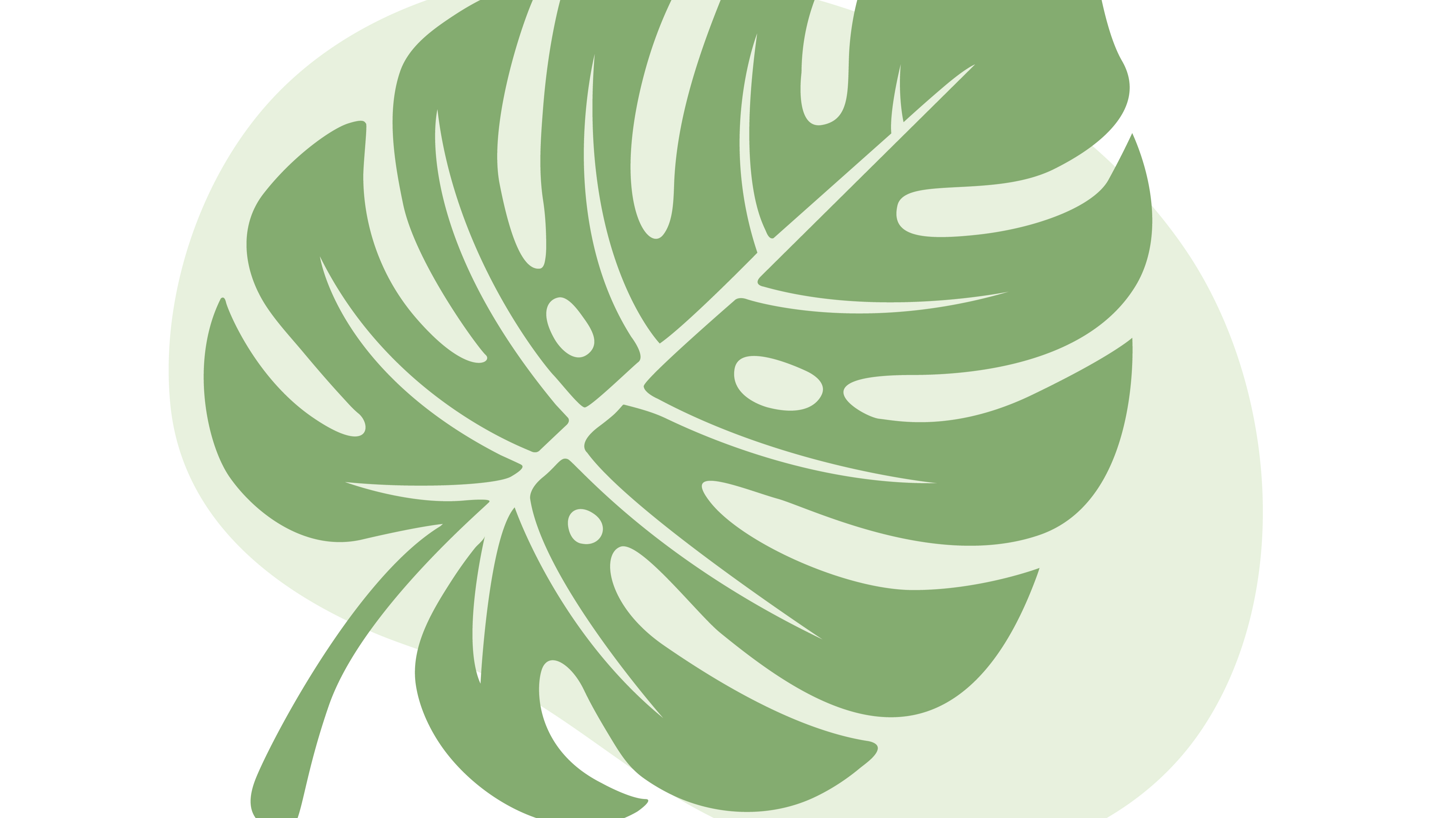 Andersen & Co logo