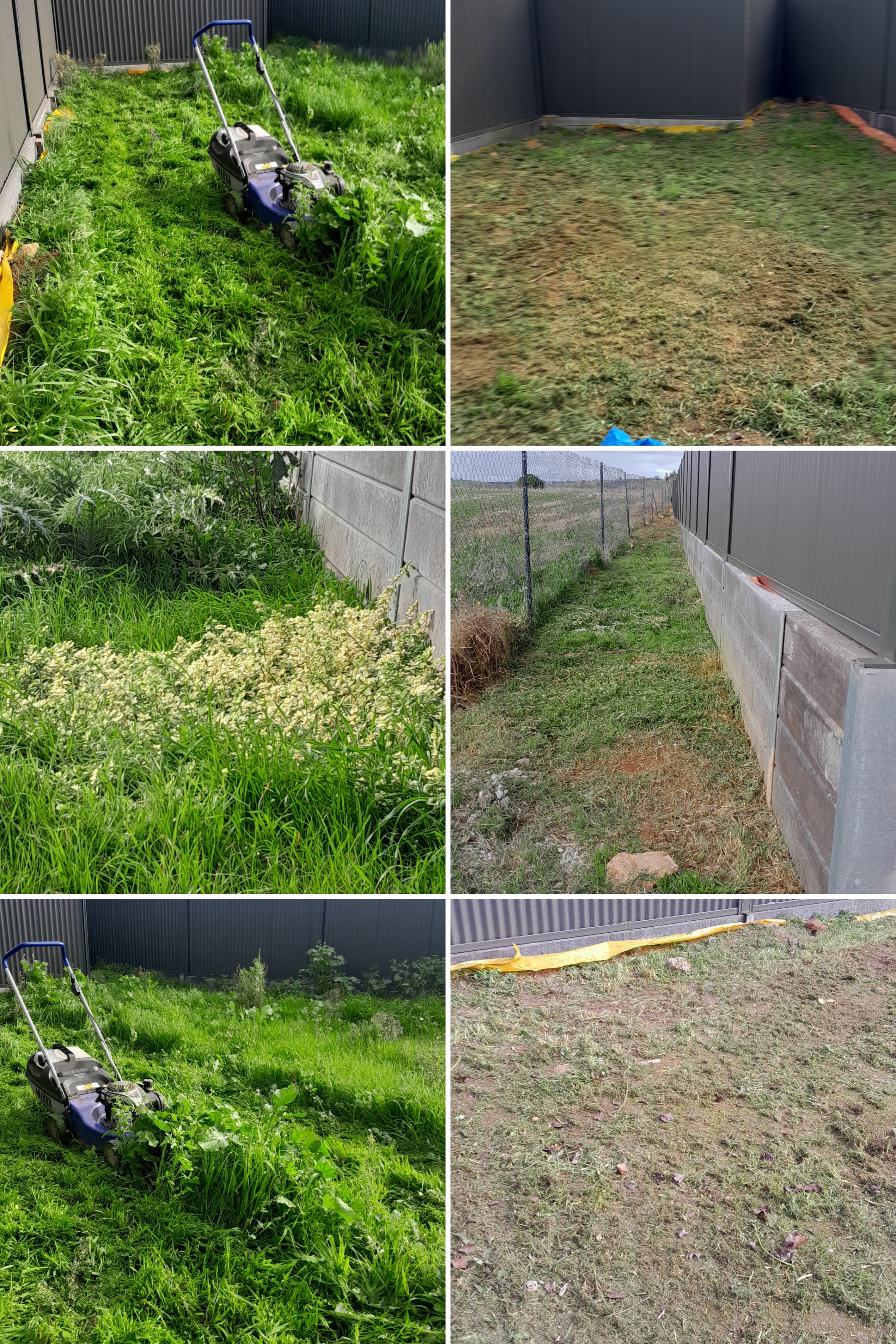 Green Mills Gardening — photo 2
